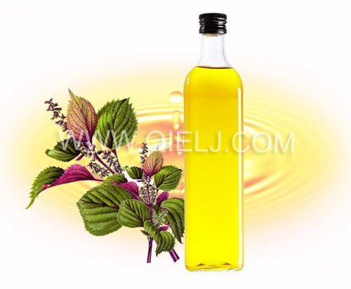 紫蘇油設備  制取紫蘇油成套設備(圖1)